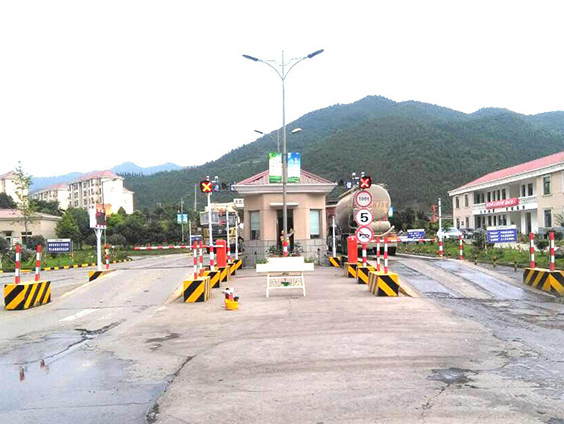 南充定做牲畜秤厂家